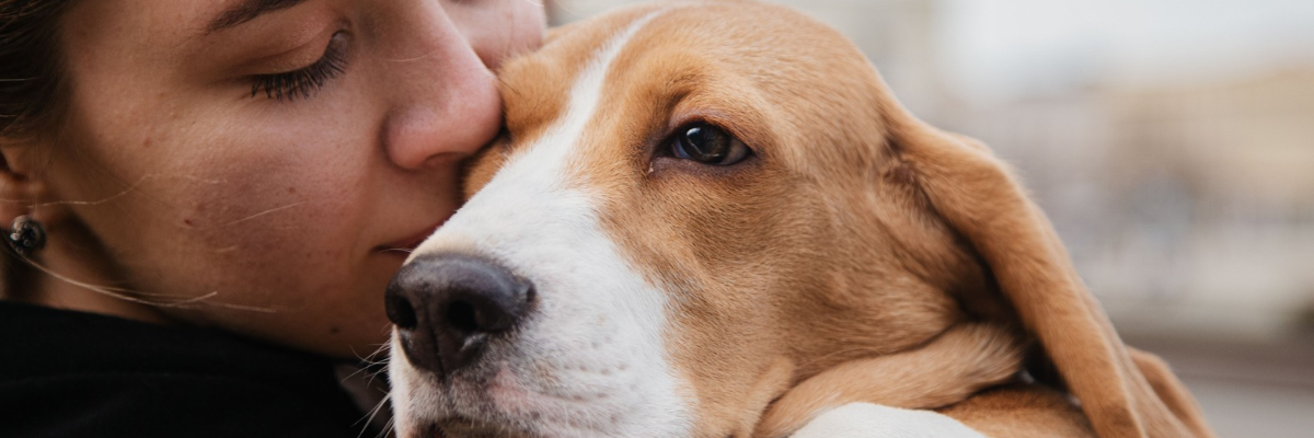 ¿Qué ocurre con las mascotas cuando fallece su dueño?